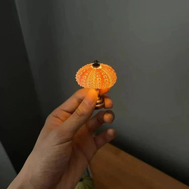 Lampe miniature oursin unique, avec éclairage LED, apporte une touche décorative élégante.