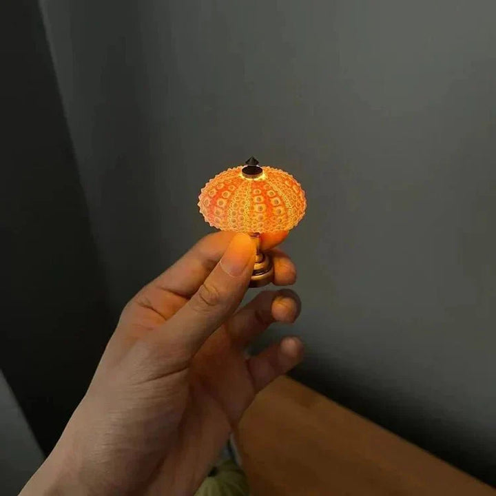Lampe miniature oursin unique, avec éclairage LED, apporte une touche décorative élégante.