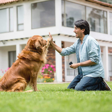 Répulsif chien ultrason portable pour arrêter les aboiements excessifs et faciliter le dressage canin.