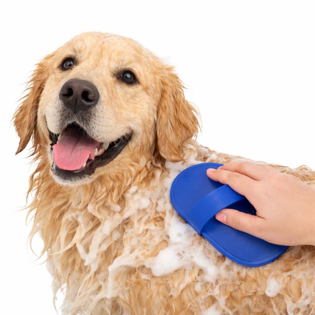 Brosse de toilettage douce en silicone pour chien et chat, nettoie et masse le pelage, démêle les poils.