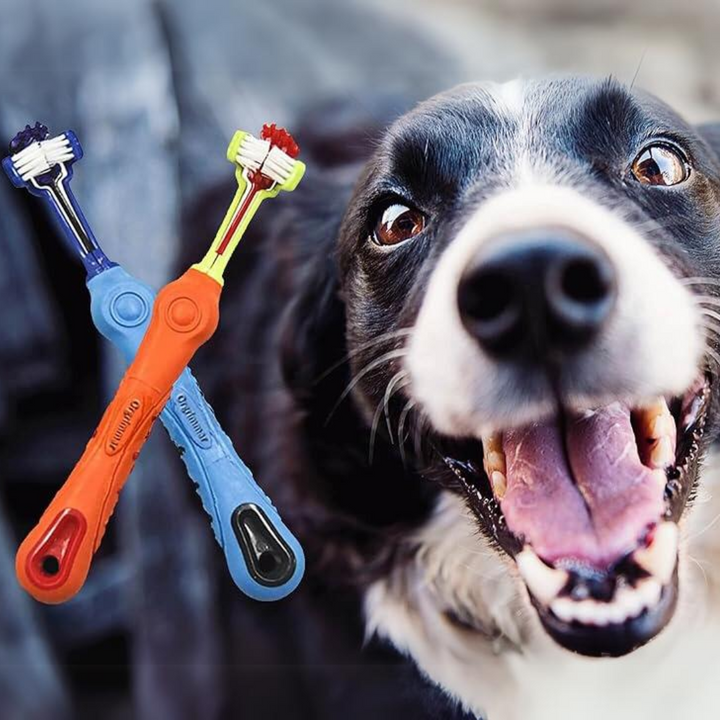 Brosse à dents triple pour animaux. Hygiène bucco-dentaire optimale chien/chat. Anti-tartre, mauvaise haleine.
