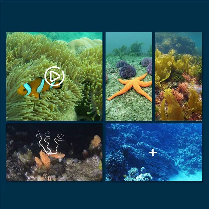 Caméra sous-marine HD intégrée au drone aquatique RC, pour des vidéos et photos claires en exploration. Modélisme WiFi.