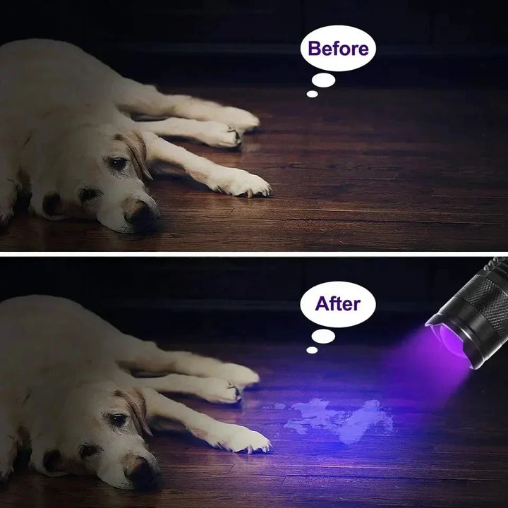 Lampe torche UV LED compacte, idéale pour inspection d'hygiène, détection de faux billets et taches organiques.