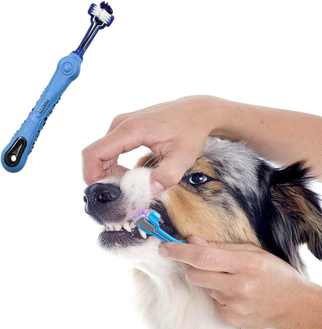 Brosse à dents animaux pour hygiène bucco-dentaire optimale. Design triple, nettoyage complet. Anti-tartre.