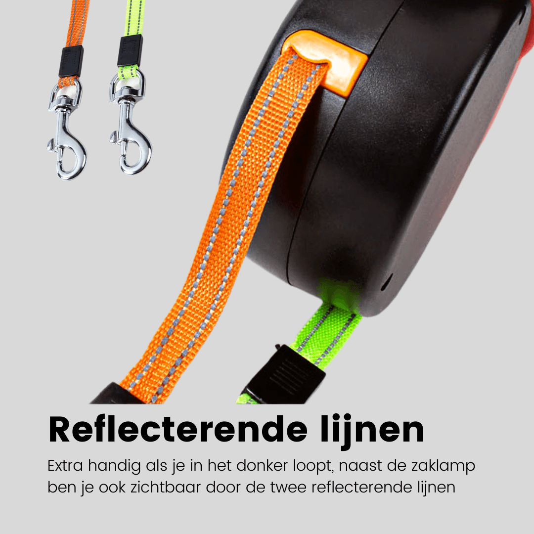 Laisse double chien avec bande réfléchissante pour sécurité nocturne, idéale pour balades sombres.