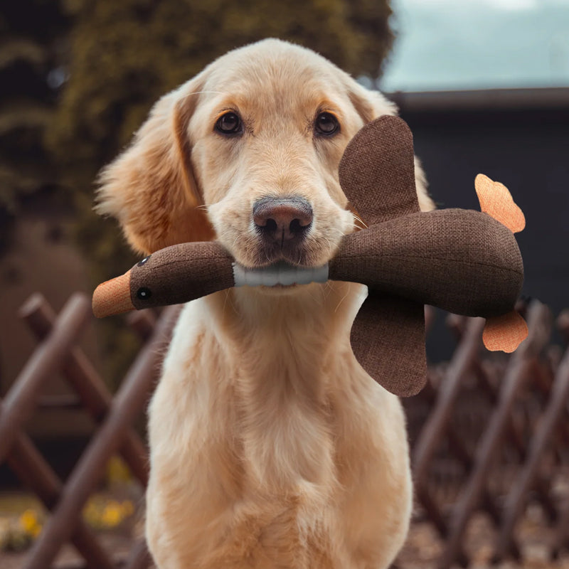 Jouet chien durable pour hygiène dentaire et mastication. Réduit l'ennui des masticateurs extrêmes.