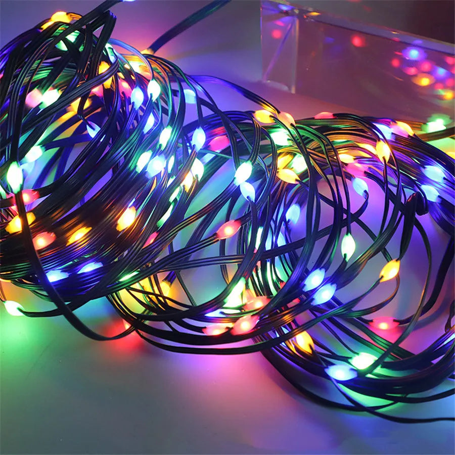 Guirlande LED extérieure IP65 blanc chaud, idéale pour éclairage de jardin et décoration de terrasse.