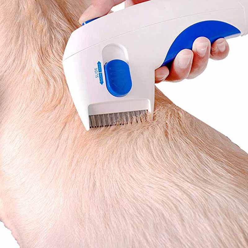Appareil électrique innovant pour l'élimination des puces chez les chiens et chats. Soins de toilettage sans effort.