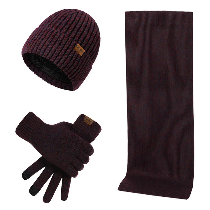 Classique ensemble hiver homme gris : bonnet, écharpe et gants. Accessoires coordonnés essentiels contre le froid.