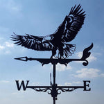 Aigle