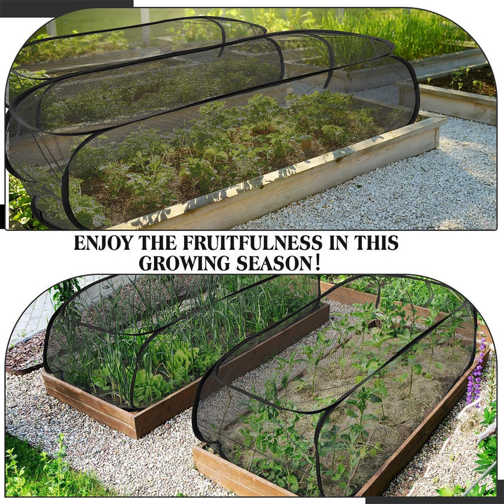 Filet de protection pour potager, forme dôme pop-up. Parfait pour protéger un carré de jardin des nuisibles.