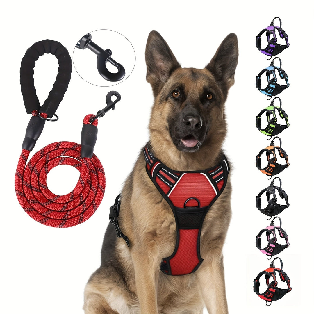 Harnais réfléchissant ajustable pour chien avec laisse. Sécurité optimale pour promenades nocturnes.