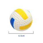 Ballon de Volley