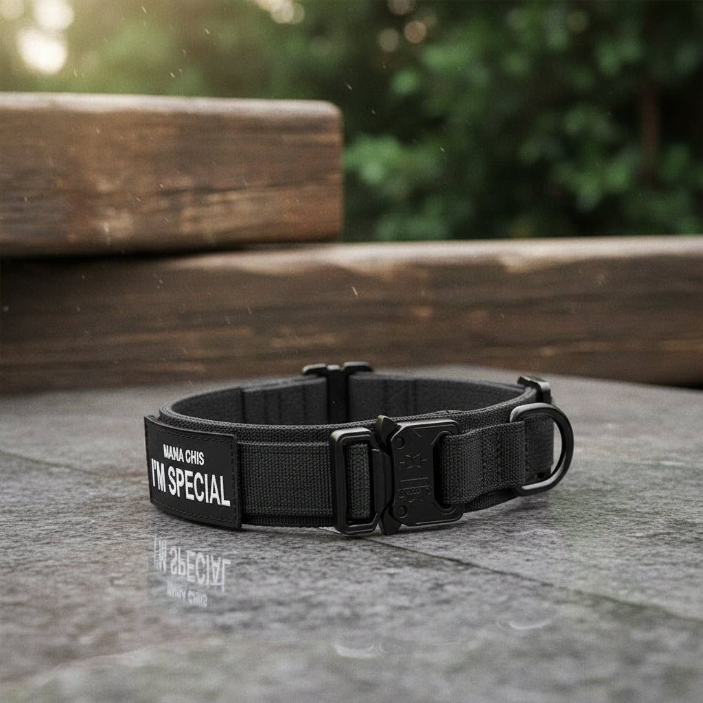 Collier tactique robuste TACTICALK9 pour chien, idéal pour l'entraînement et les activités extérieures.