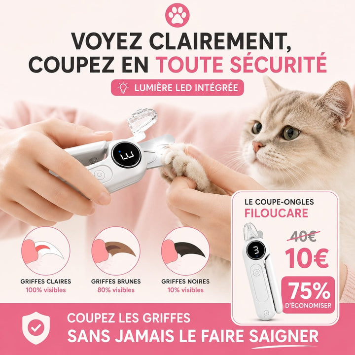 Tondeuse chat silencieuse professionnelle, idéale pour les chats anxieux, coupe précise et rapide.