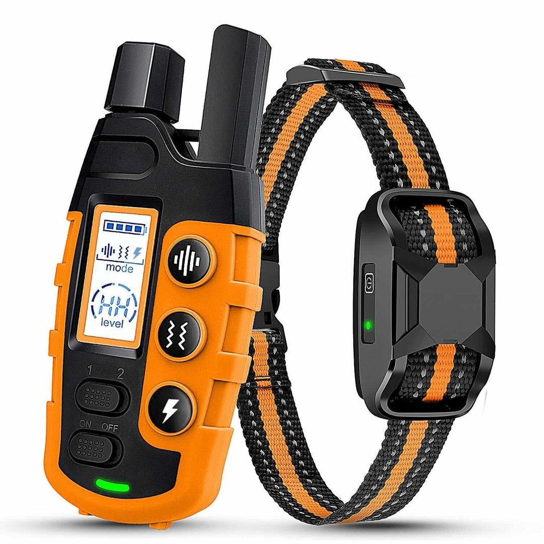 Collier de dressage rechargeable pour chien, aide à l'éducation canine efficace et à l'entraînement du comportement.