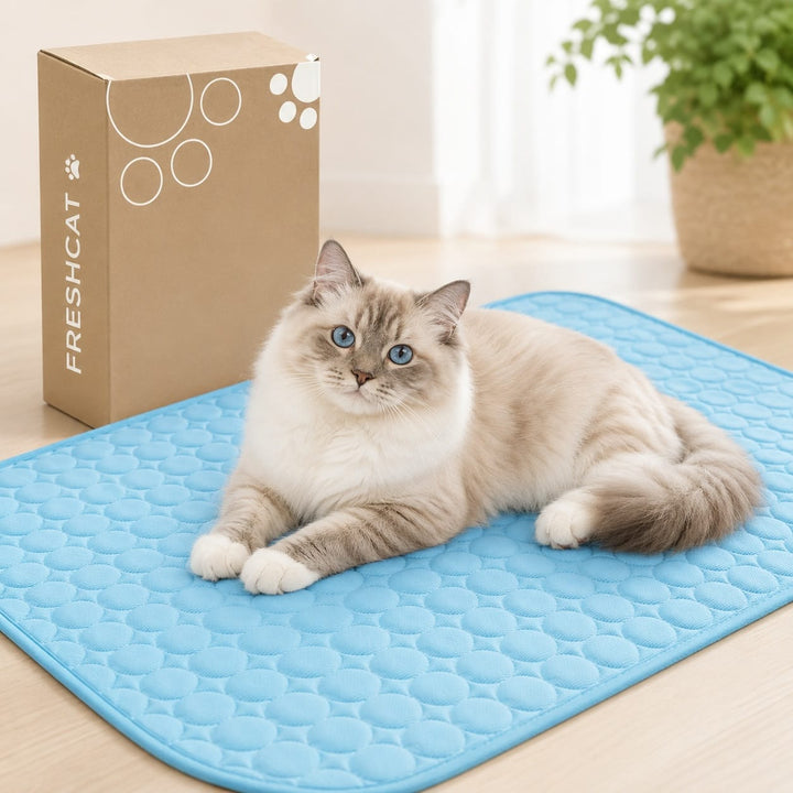 Tapis rafraîchissant pour chat, apportant confort et fraîcheur à votre compagnon durant l'été.