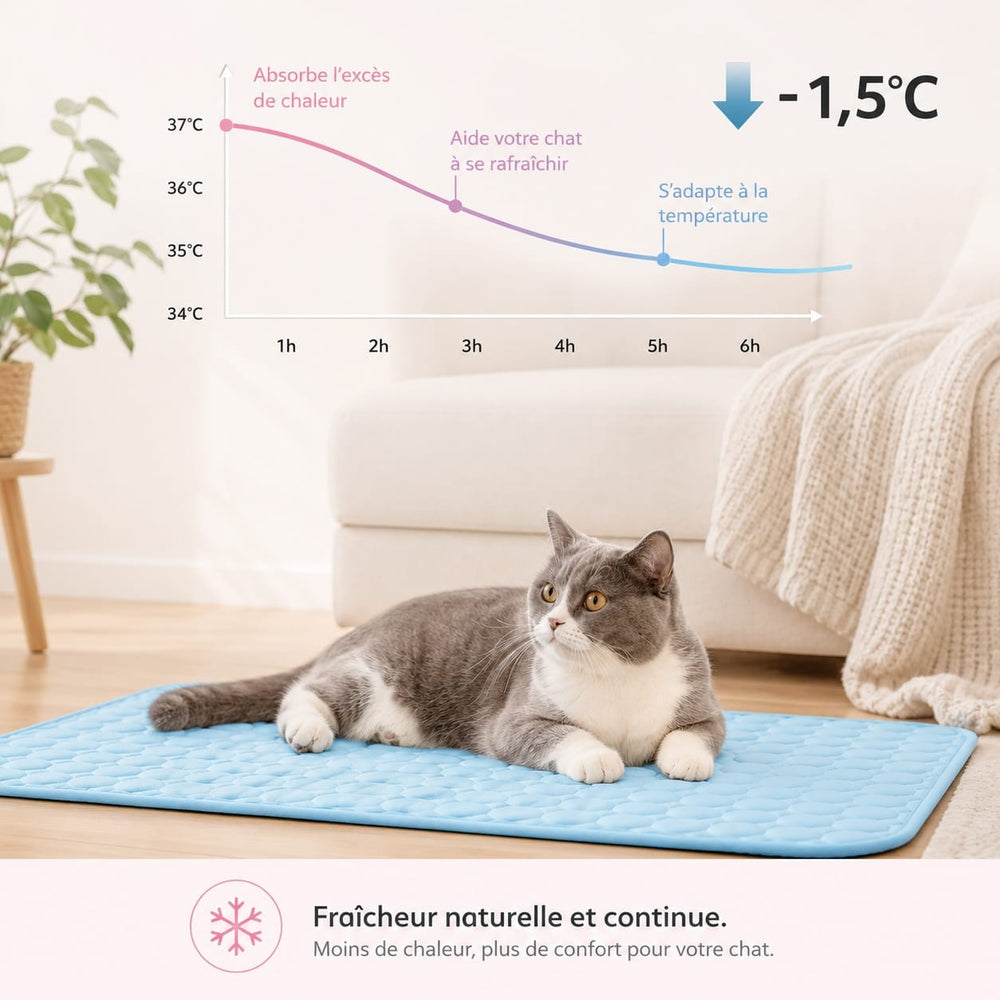 Couchage pour chat avec gel rafraîchissant intégré, idéal pour lutter contre la chaleur estivale et assurer son bien-être.