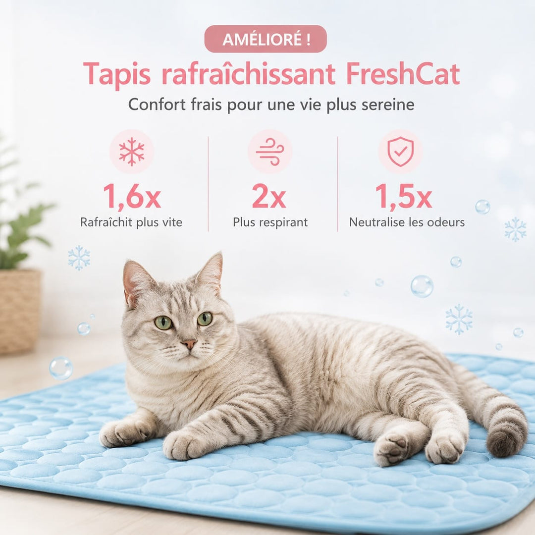 Votre chat se détend sur ce tapis anti-chaleur, un accessoire essentiel garantissant son bien-être et sa fraîcheur.
