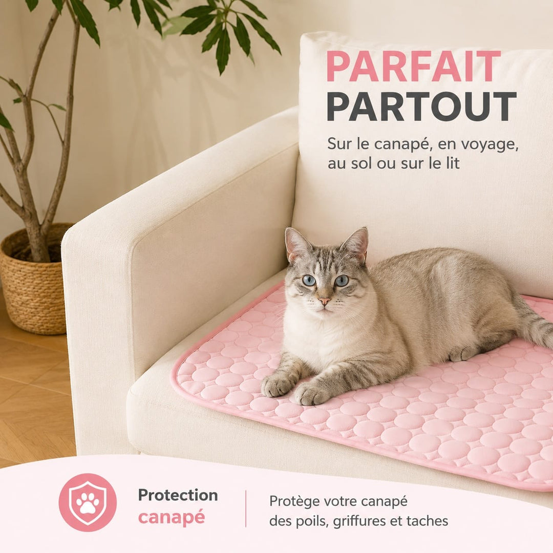 Accessoire essentiel pour chat : tapis rafraîchissant portable, le couchage parfait pour un été confortable.
