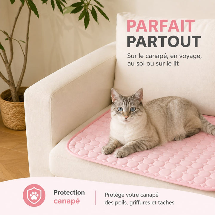 Accessoire essentiel pour chat : tapis rafraîchissant portable, le couchage parfait pour un été confortable.