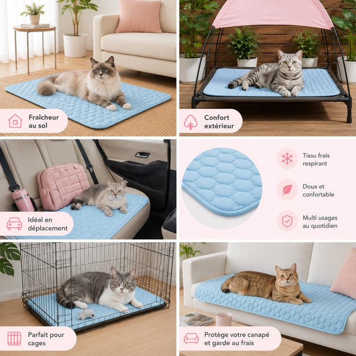 Tapis rafraîchissant doux pour chat, offrant un couchage frais et agréable, essentiel pour l'été et le confort.