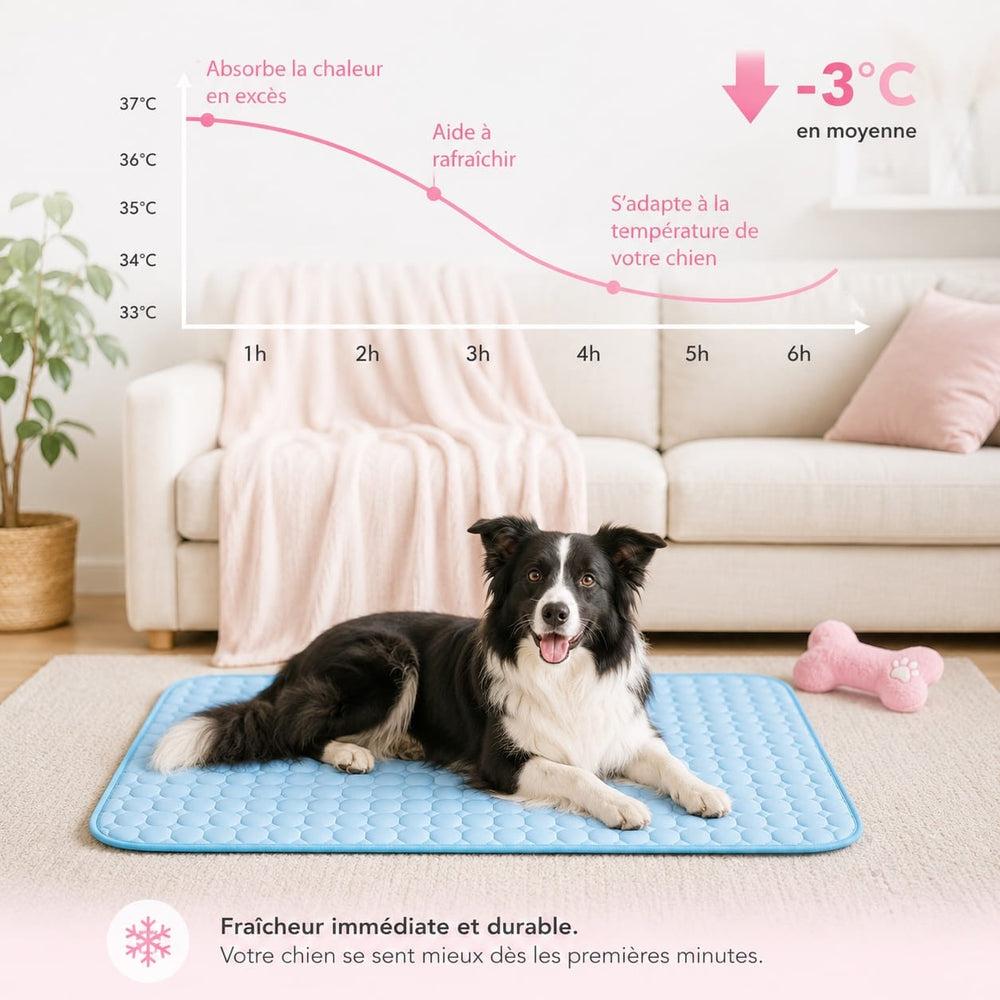 Tapis refroidissant gel auto-activant pour chien, offre un confort anti-chaleur immédiat. Accessoire indispensable été.