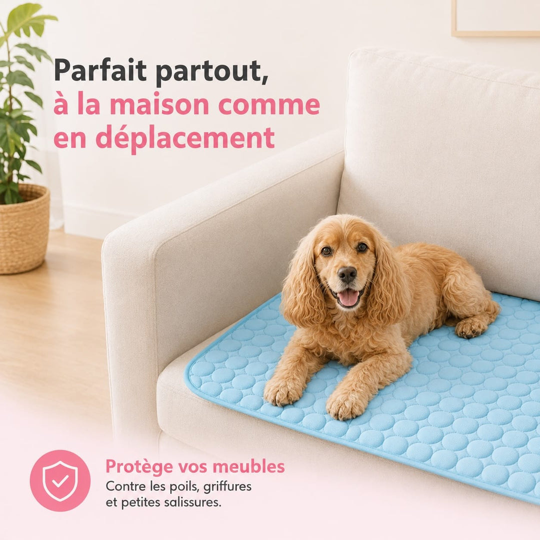 Petit tapis rafraîchissant pour chiot ou petit chien, parfait pour lutter contre la chaleur. Idéal pour animaux domestiques.