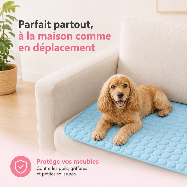 Petit tapis rafraîchissant pour chiot ou petit chien, parfait pour lutter contre la chaleur. Idéal pour animaux domestiques.