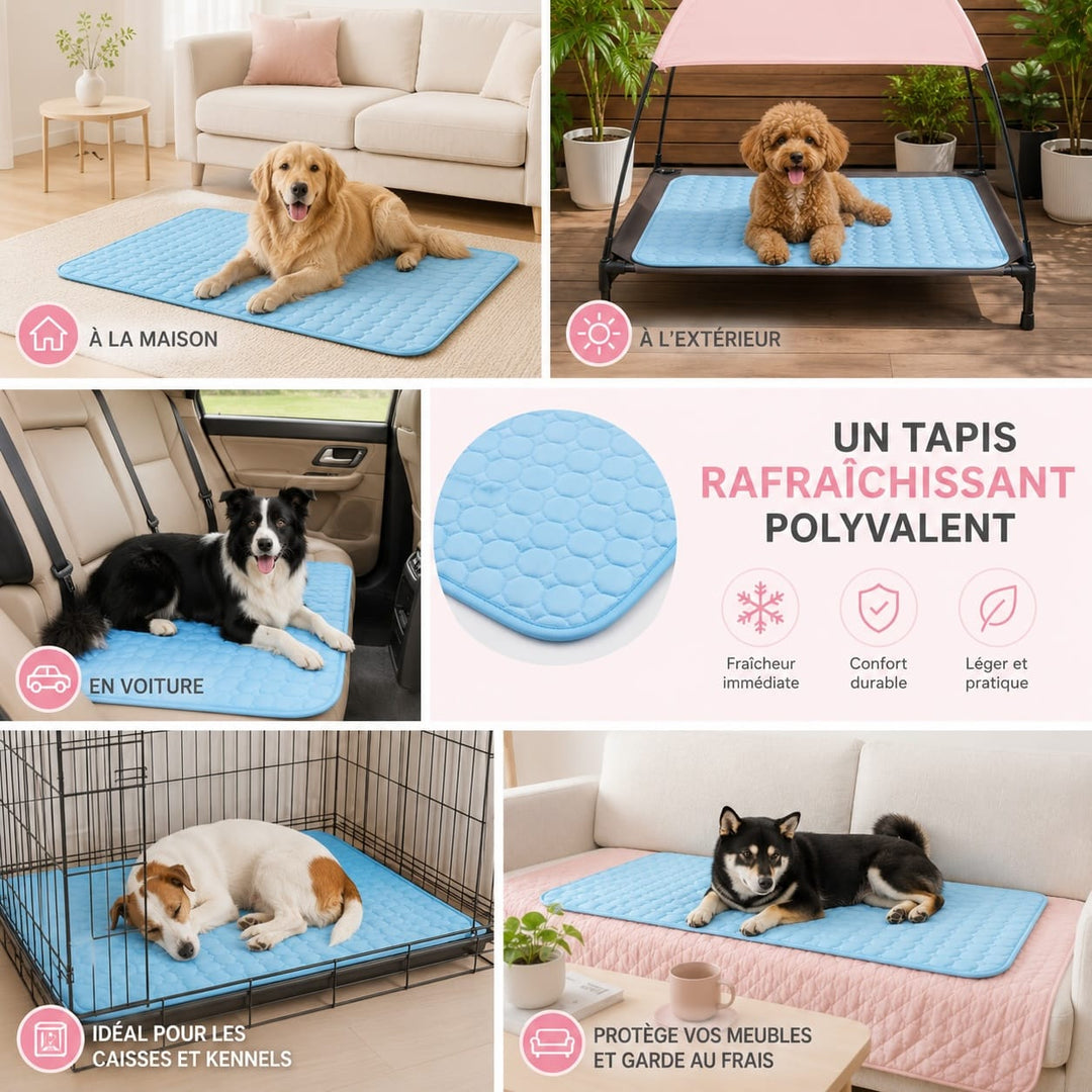 Chien se reposant confortablement sur son tapis rafraîchissant, soulagé de la chaleur. Bien-être animal garanti.