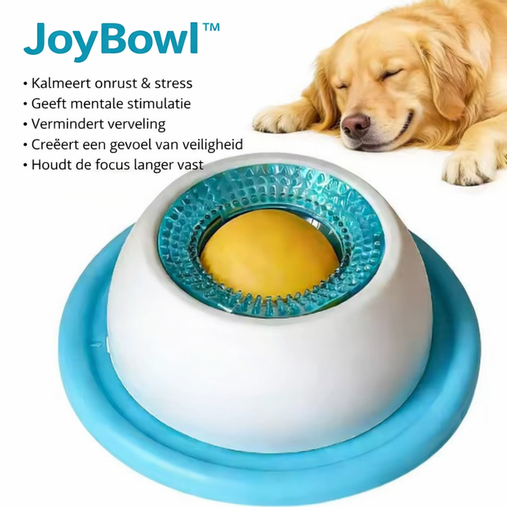 Gamelle anti-glouton pour chien et chat, favorisant une alimentation lente et une meilleure digestion sereine.