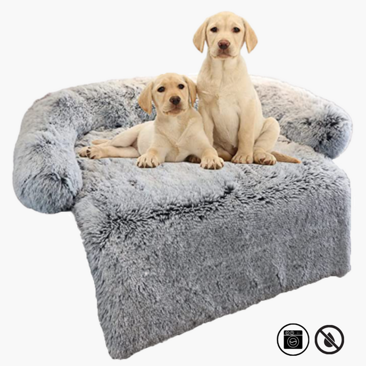 Grand coussin moelleux gris, partie d'un canapé de luxe, offrant un soutien confortable pour tout chien.