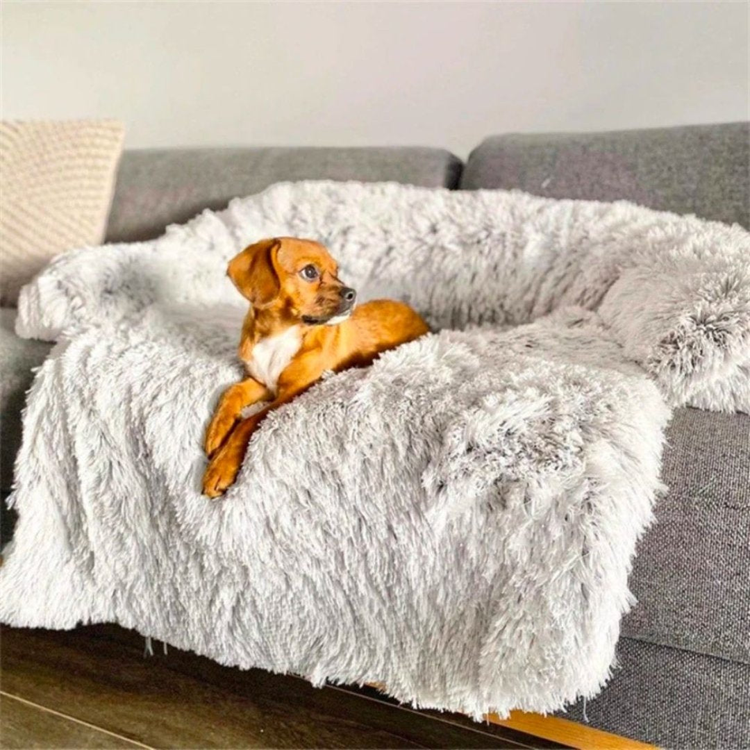 Mobilier chien moderne: canapé de luxe pour intérieur, conçu pour le bien-être et la détente canine.