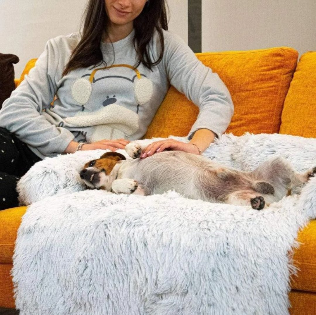 Canapé de luxe gris pour chien, offrant un confort ultime et un lieu de repos douillet et élégant.