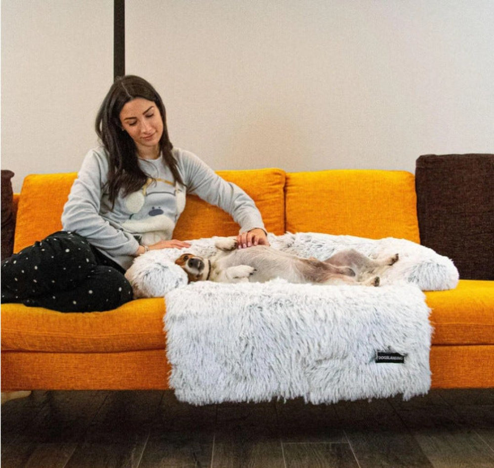 Lit premium pour chien, coussin lavable ultra doux assurant détente et sommeil paisible.