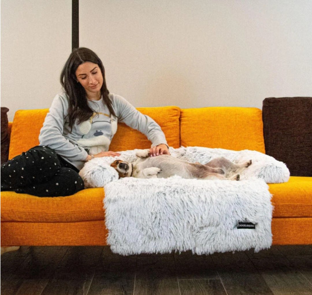 Lit premium pour chien, coussin lavable ultra doux assurant détente et sommeil paisible.