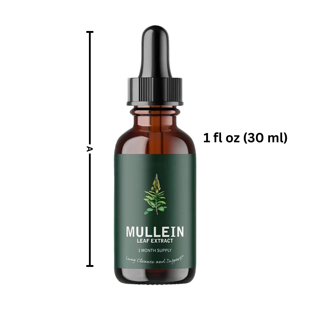 Mullein avec chlorophylle pour la santé respiratoire, un soutien pulmonaire naturel.
