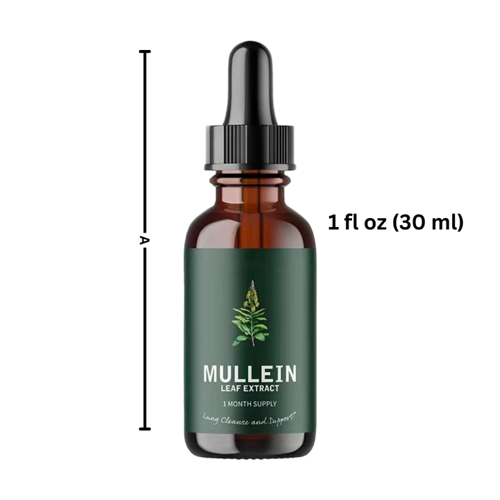 Mullein avec chlorophylle pour la santé respiratoire, un soutien pulmonaire naturel.