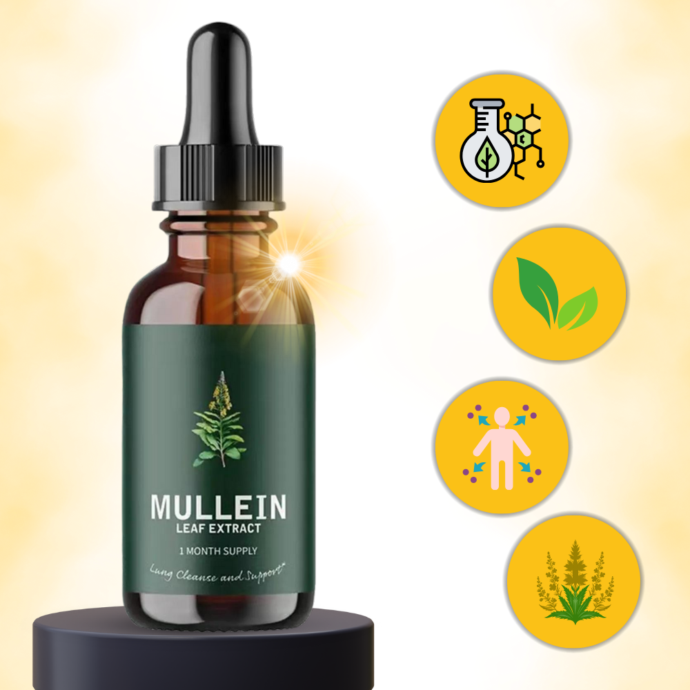 Mullein, complément alimentaire pour la santé des poumons et une voie respiratoire claire.