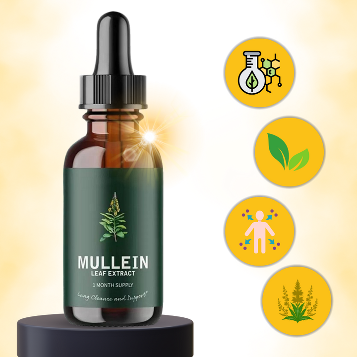 Mullein, complément alimentaire pour la santé des poumons et une voie respiratoire claire.