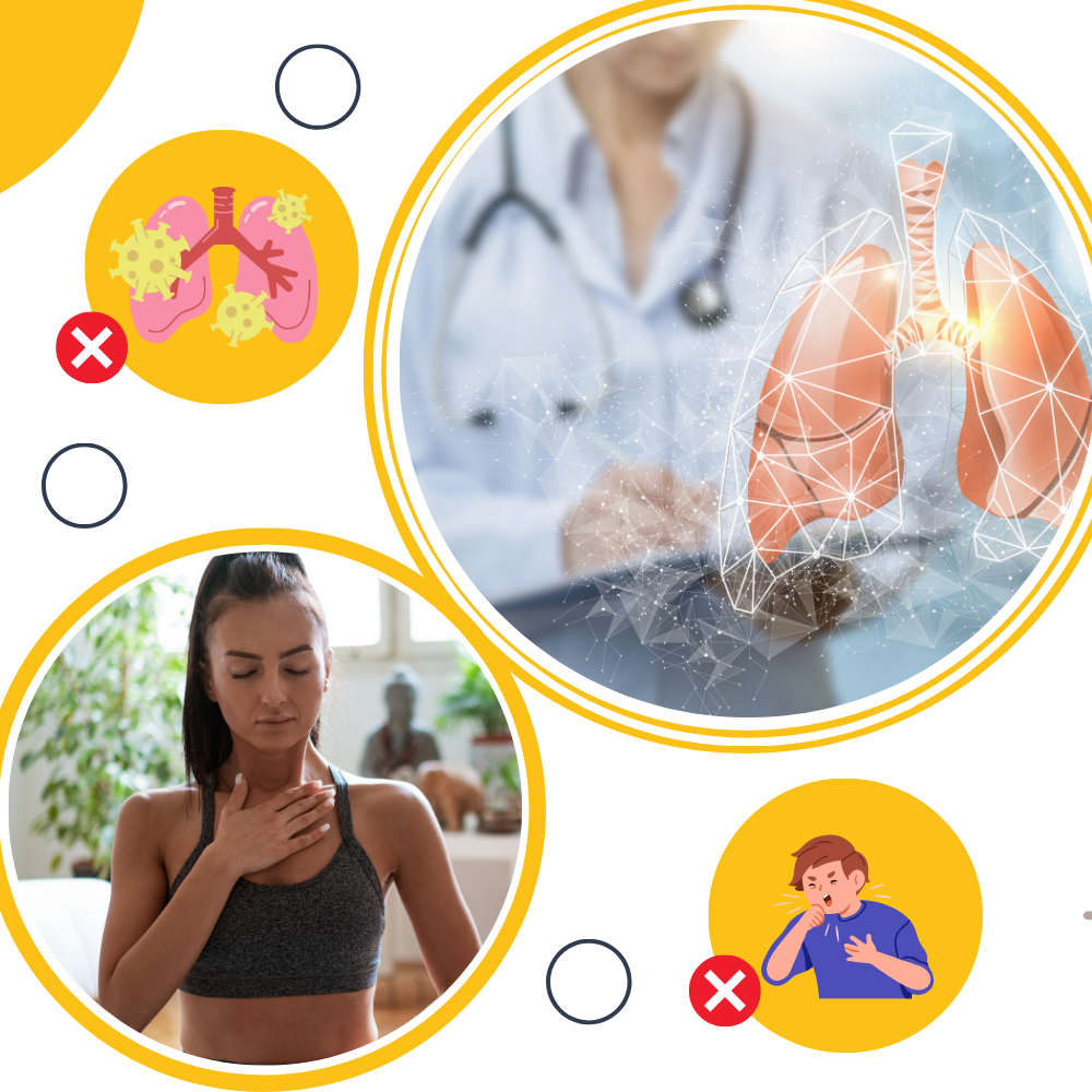 Gélules de Mullein naturel pour un soutien respiratoire et une détoxification pulmonaire.