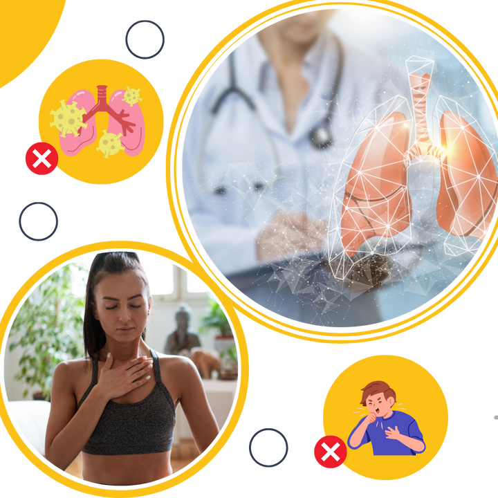 Gélules de Mullein naturel pour un soutien respiratoire et une détoxification pulmonaire.