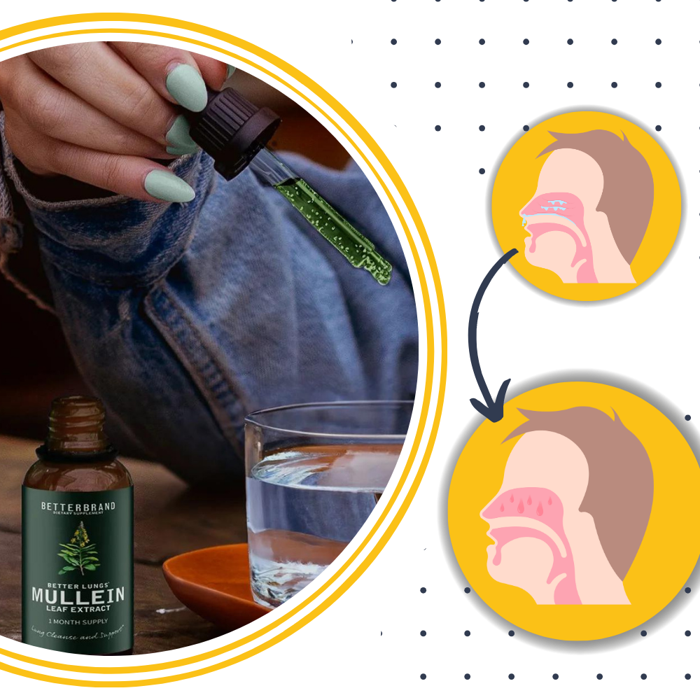 Molène sans gluten : herbe naturelle favorisant le bien-être pulmonaire et la purification.