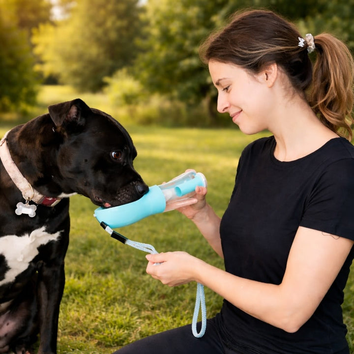 Gourde portable 3-en-1 pour animal de compagnie: eau, croquettes et sacs de propreté.