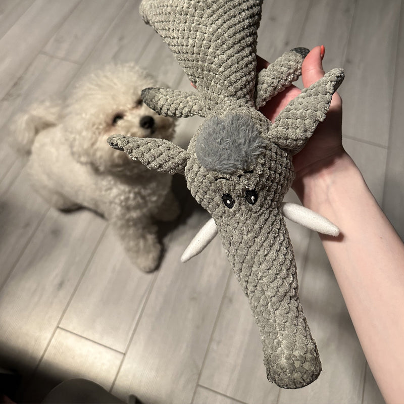 Jouet chien résistant Maximus, forme ergonomique pour la mastication intensive et le jeu durable.