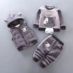 Chat Gris