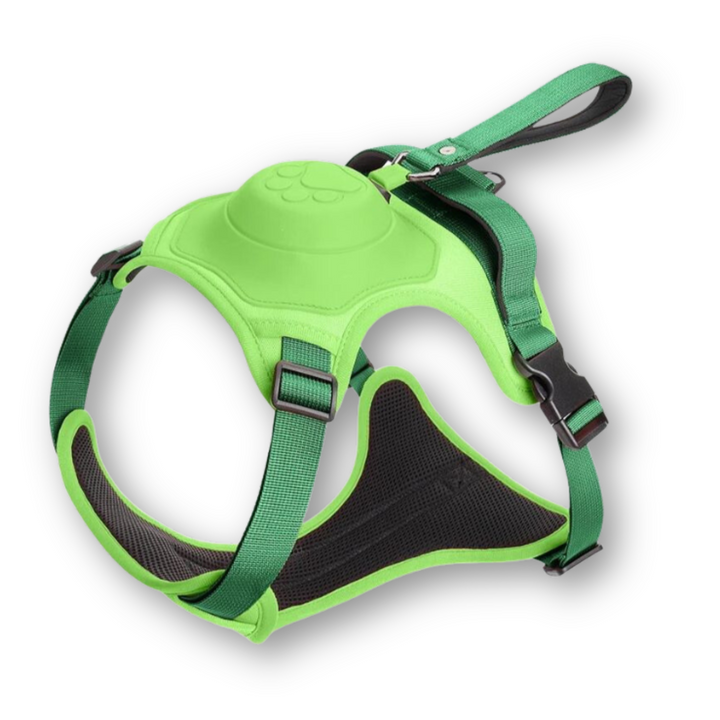 Accessoire pour chien: harnais FlexiLead avec laisse intégrée. Conçu pour des promenades pratiques et sécurisées.