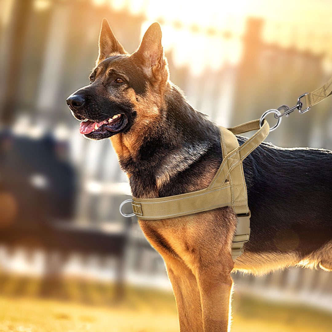 Harnais anti-traction réfléchissant pour chien. Idéal pour sécurité et contrôle lors des promenades nocturnes.