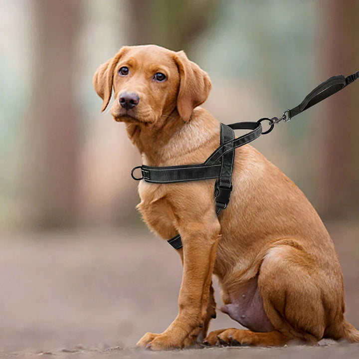 Promenade sécurisée et sereine avec ce harnais chien réfléchissant. Idéal pour le contrôle et la visibilité nocturne.