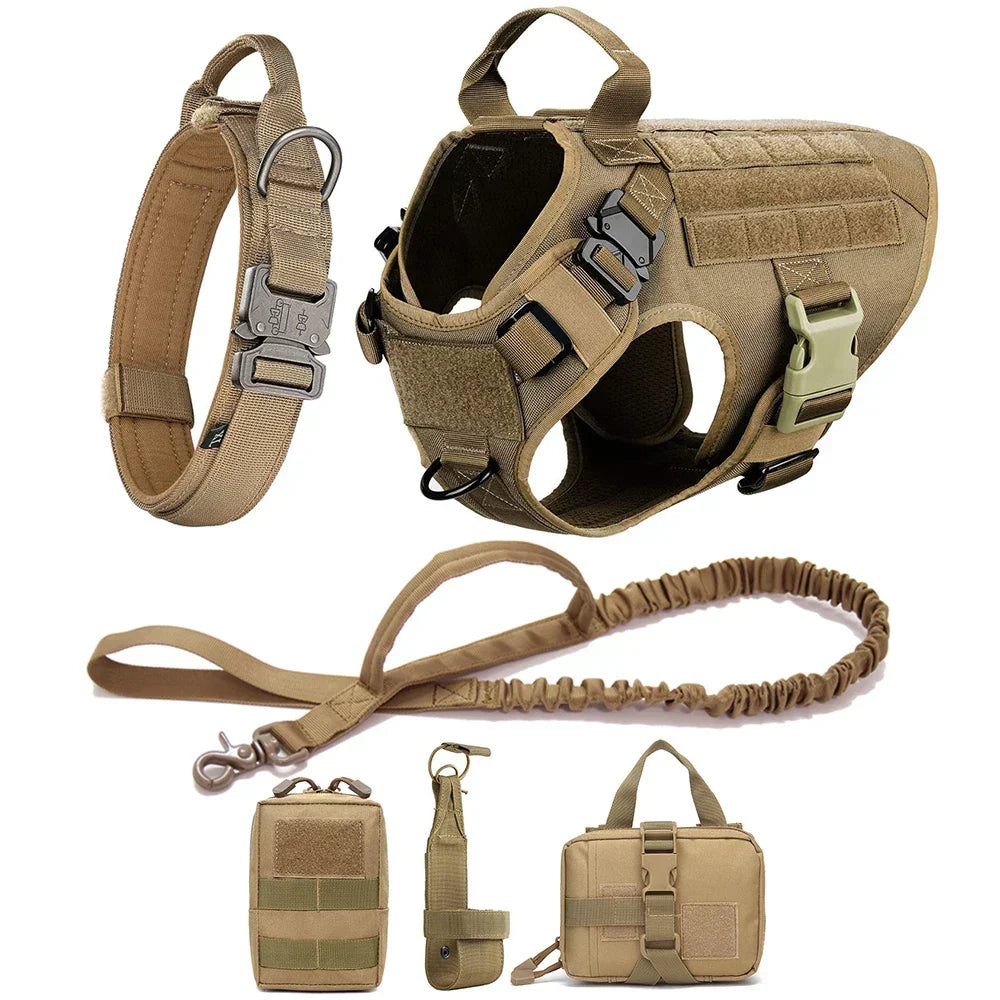 Harnais tactique pour aventure canine. Anti-traction, réglable, offre confort & contrôle pour les sorties en plein air.